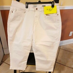 Judy Blue Capri Jeans